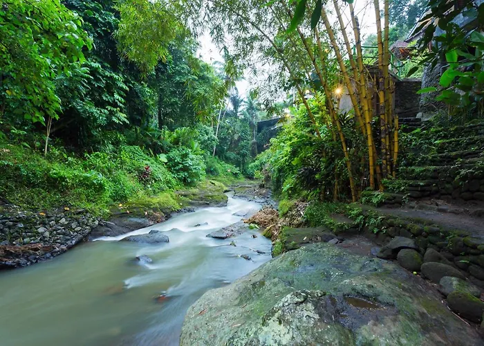 Ani's Ubud